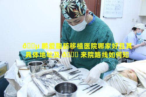 🐵 鹏爱脂肪移植医院哪家好且其具体地址及 🍁 来院路线如何知晓呢